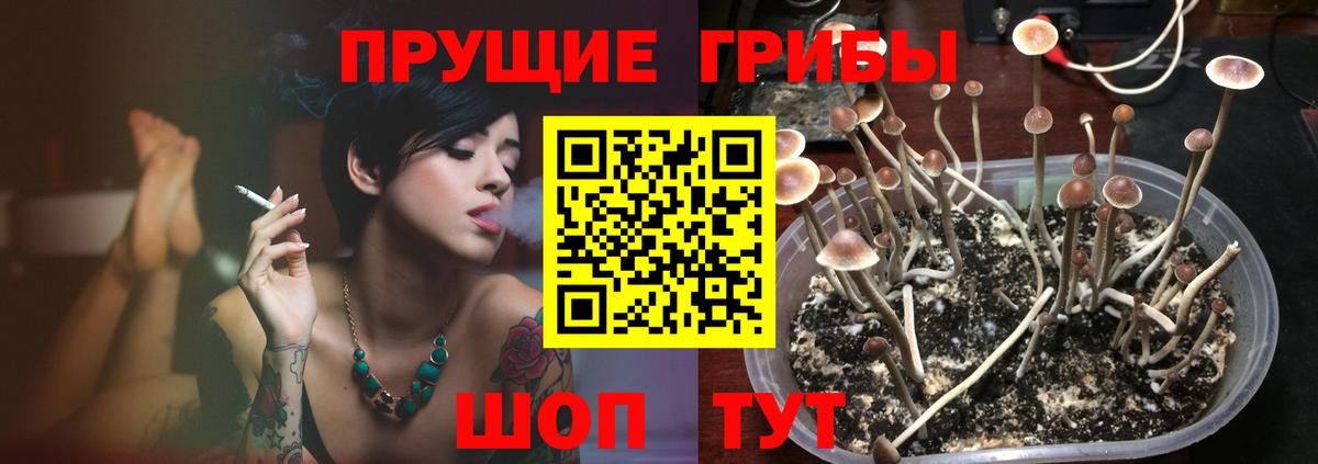 Псилоцибиновые грибы мицелий  Вход с VPN  Волжск 